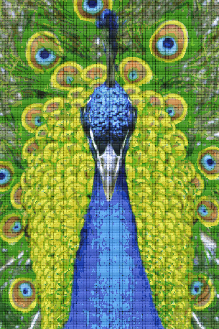 Peacock Thirty [30] Baseplate PixelHobby Mini-mosaic Art Kit image 0